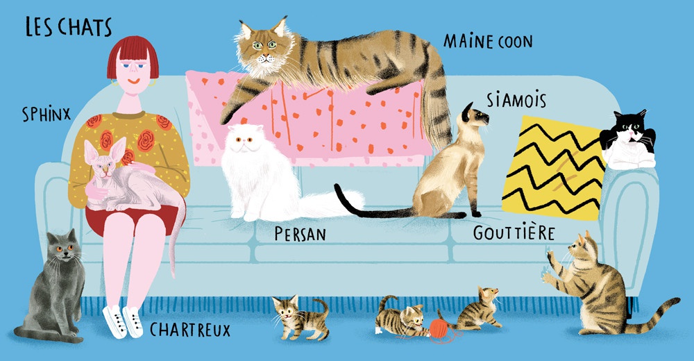 illustration amelie faliere chats.jpg - Amlie FALIERE | Virginie